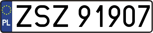 ZSZ91907