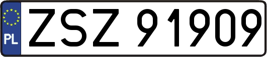 ZSZ91909