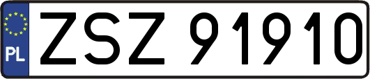ZSZ91910