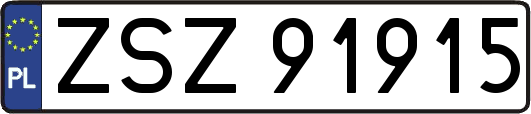 ZSZ91915