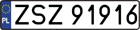 ZSZ91916