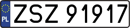 ZSZ91917