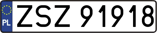 ZSZ91918