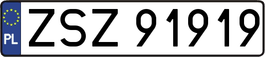 ZSZ91919