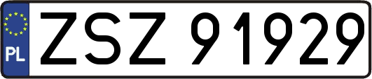ZSZ91929