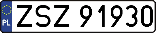 ZSZ91930