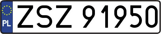 ZSZ91950