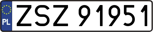 ZSZ91951