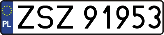 ZSZ91953
