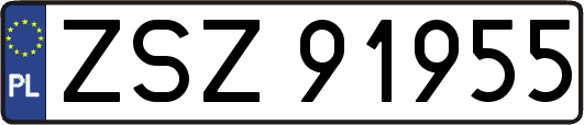ZSZ91955
