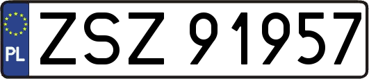 ZSZ91957