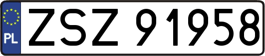 ZSZ91958