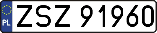 ZSZ91960
