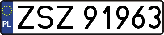 ZSZ91963