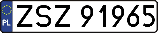 ZSZ91965