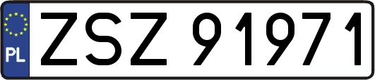 ZSZ91971