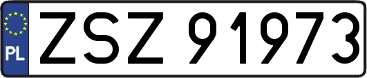 ZSZ91973