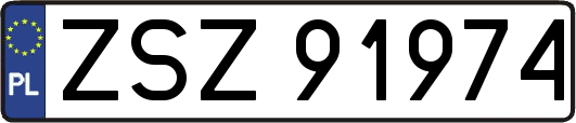 ZSZ91974