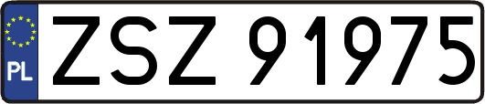 ZSZ91975