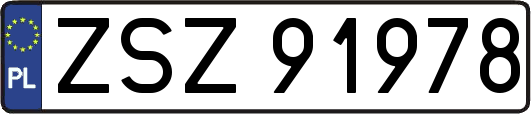 ZSZ91978