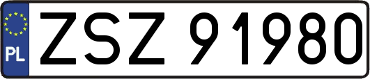 ZSZ91980