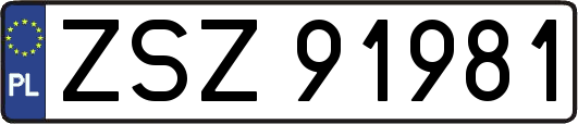 ZSZ91981