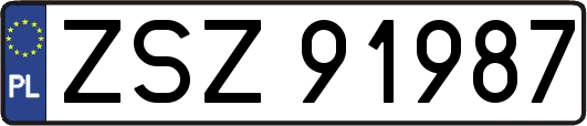 ZSZ91987