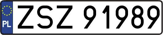 ZSZ91989