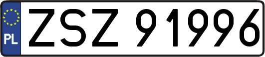 ZSZ91996