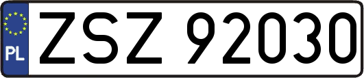 ZSZ92030