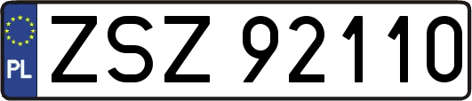 ZSZ92110