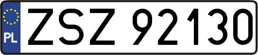 ZSZ92130