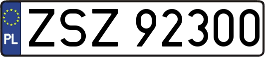 ZSZ92300