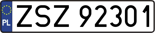 ZSZ92301