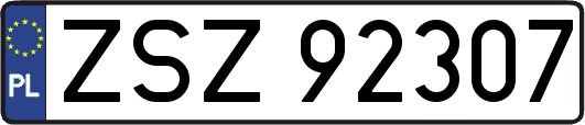 ZSZ92307