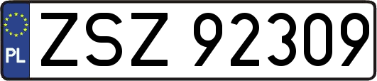 ZSZ92309