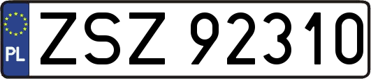 ZSZ92310