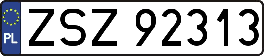 ZSZ92313