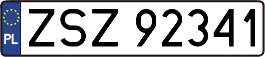 ZSZ92341