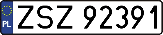 ZSZ92391