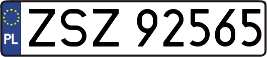 ZSZ92565