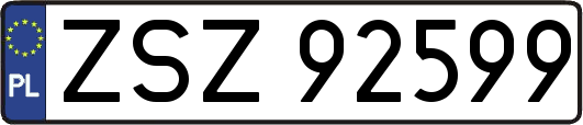 ZSZ92599