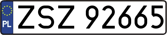 ZSZ92665