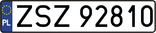 ZSZ92810