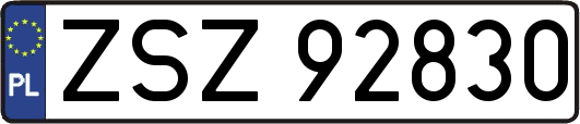 ZSZ92830