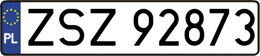 ZSZ92873