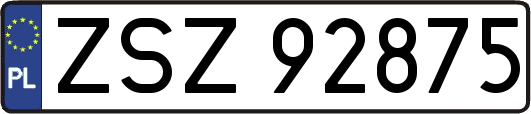 ZSZ92875