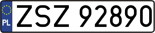ZSZ92890