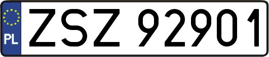 ZSZ92901