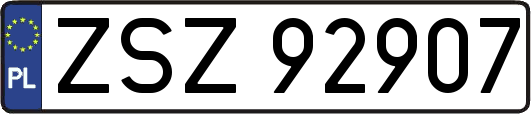 ZSZ92907